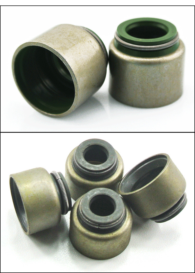 Case Study Fully Automatic Oil Seal Spring Loading Machine With Oil