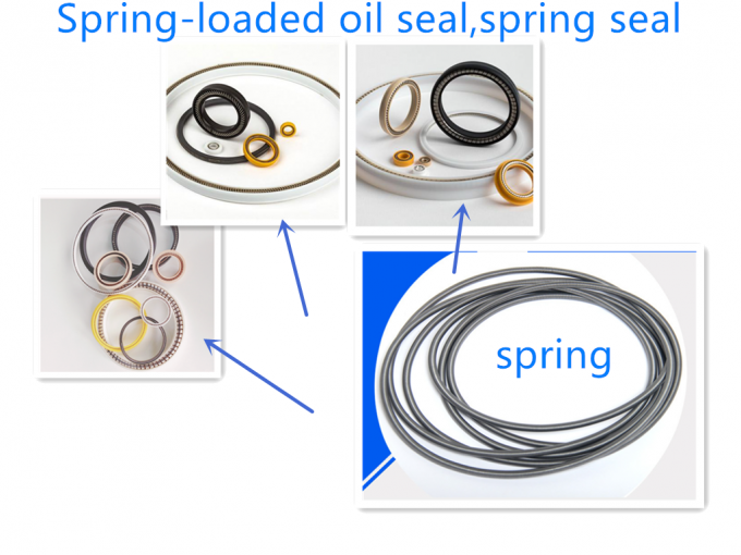 Fully Automatic Oil Seal Spring Loading Machine with Oil Ejector ...
